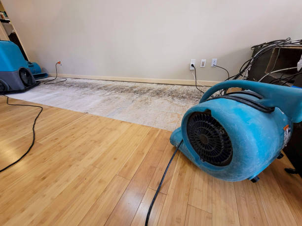 Reliable Basement Flood Cleanup contractor in Hagerstown, IN by Hirex Water Damage