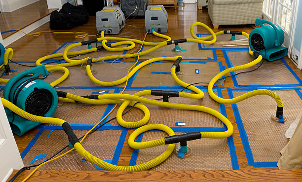 Professional Basement Flood Cleanup technician working in Hagerstown, IN